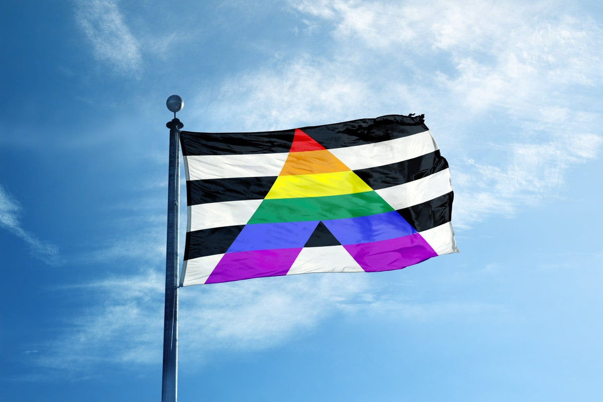 Understanding the Ally Flag: Meaning, Symbolism, and Products - We are ...