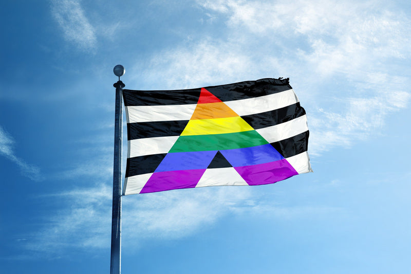 Understanding the Ally Flag Meaning, Symbolism, and Products We are