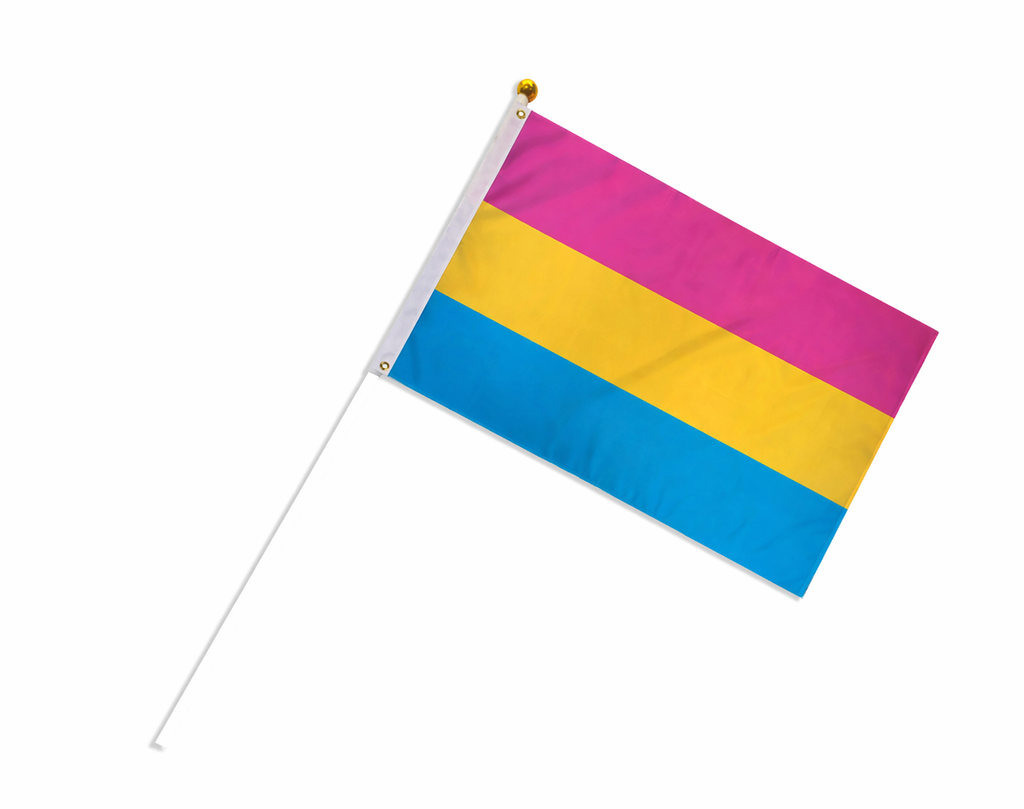 Small Pansexual LGTQ Flags on a Stick
