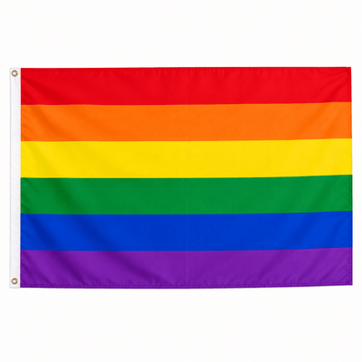 Rainbow Pride 3 Feet by 5 Feet Nylon Flag - We are Pride