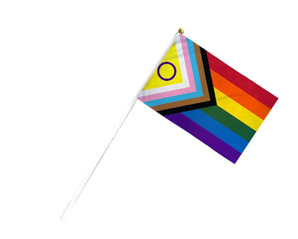 Small Daniel Quasar Inclusive Progress Pride Flags on a Stick