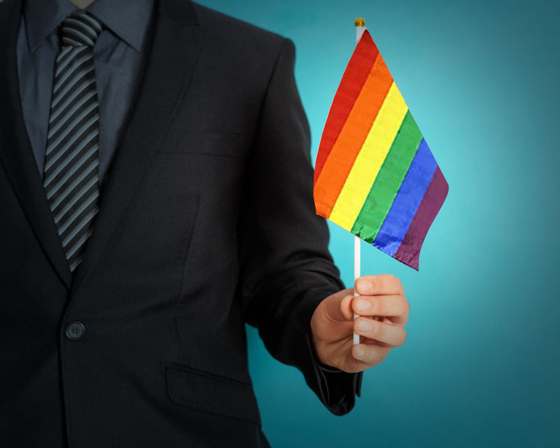 Large Rainbow Striped Flags on a Stick - We Are Pride Wholesale